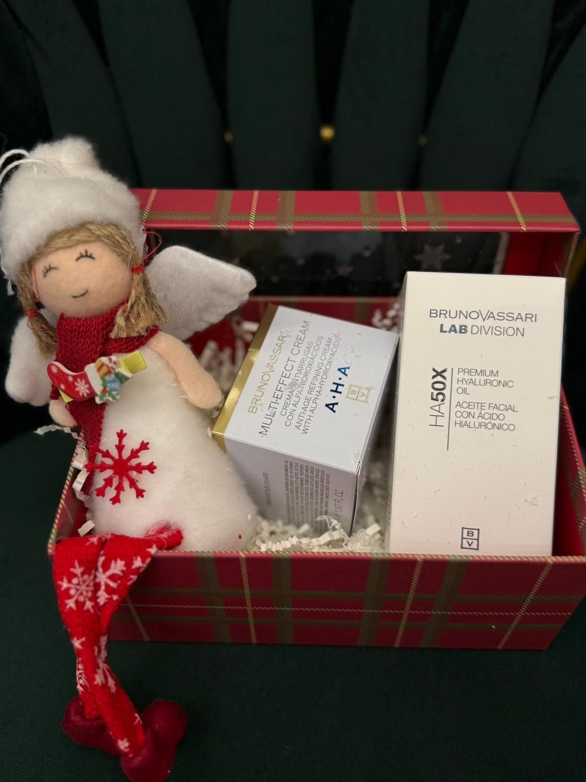 Christmas gift box _468 Lei